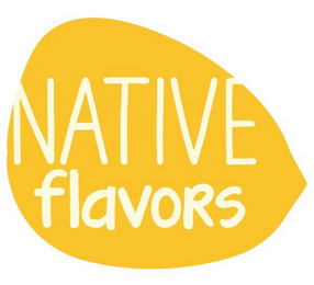 NATIVE FLAVORS logo