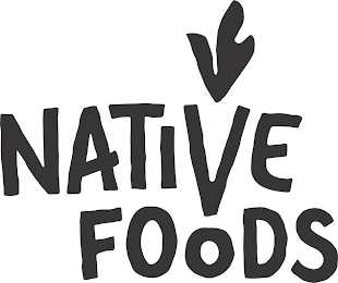 NATIVE FOODS logo
