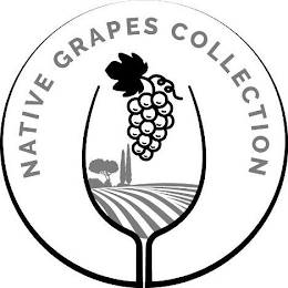 NATIVE GRAPES COLLECTION logo