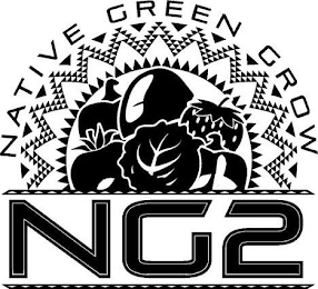 NATIVE GREEN GROW NG2 logo