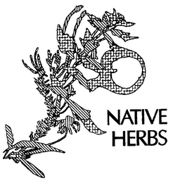 NATIVE HERBS logo