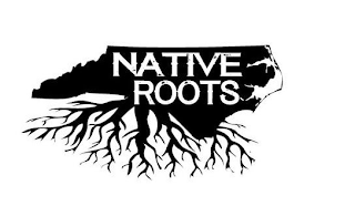 NATIVE ROOTS logo
