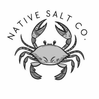 NATIVE SALT CO. logo