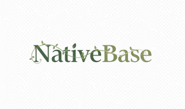 NATIVEBASE logo