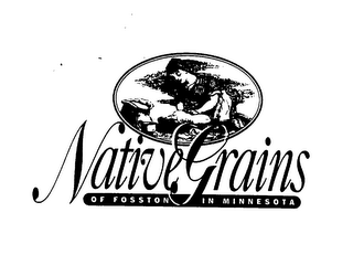 NATIVEGRAINS OF FOSSTON IN MINNESOTA logo