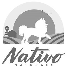 NATIVO NATURALS logo