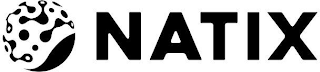 NATIX logo