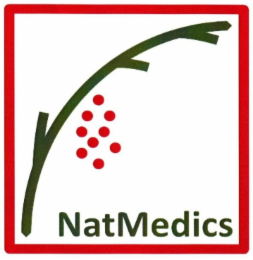 NATMEDICS logo