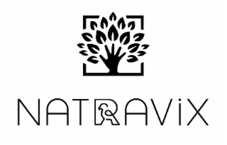NATRAVIX logo