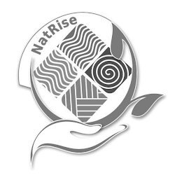 NATRISE logo