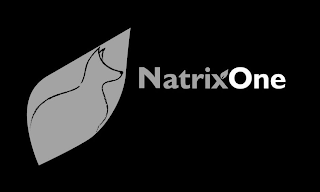 NATRIXONE logo
