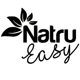 NATRU EASY logo