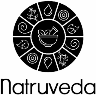 NATRUVEDA logo