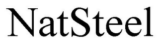 NATSTEEL logo