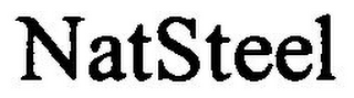 NATSTEEL logo