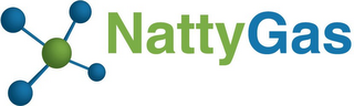 NATTYGAS logo