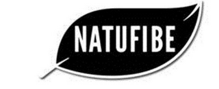 NATUFIBE logo