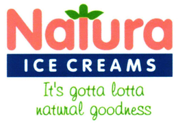NATURA ICE CREAMS IT'S GOTTA LOTTA NATURAL GOODNESS logo