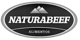 NATURABEEF ALIMENTOS logo