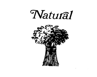 NATURAL logo