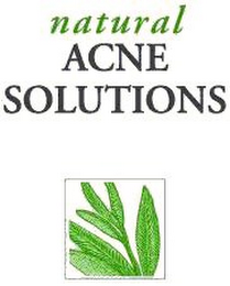 NATURAL ACNE SOLUTIONS logo