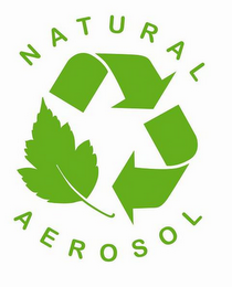 NATURAL AEROSOL logo