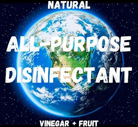 NATURAL ALL-PURPOSE DISINFECTANT VINEGAR+FRUIT logo