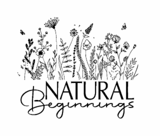 NATURAL BEGINNINGS logo
