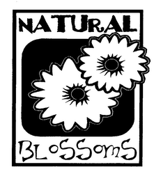 NATURAL BLOSSOMS logo