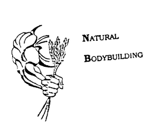 NATURAL BODYBUILDING logo