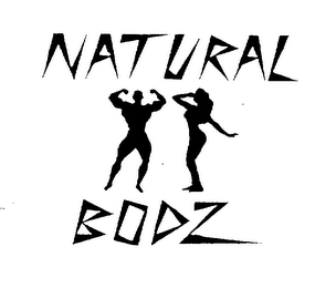 NATURAL BOOZ logo
