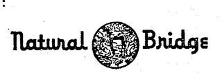 NATURAL BRIDGE logo