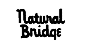 NATURAL BRIDGE logo
