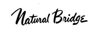 NATURAL BRIDGE logo