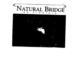 NATURAL BRIDGE O F V I R G I N I A logo