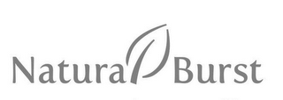 NATURAL BURST logo