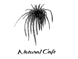 NATURAL CAFE logo