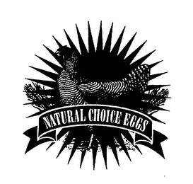 NATURAL CHOICE EGGS logo
