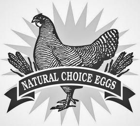 NATURAL CHOICE EGGS logo