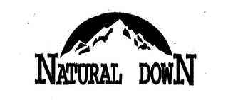 NATURAL DOWN