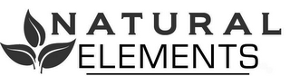 NATURAL ELEMENTS logo