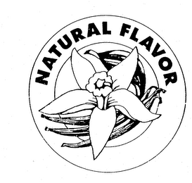 NATURAL FLAVOR logo