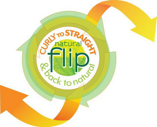 NATURAL FLIP CURLY TO STRAIGHT & BACK TO NATURAL logo