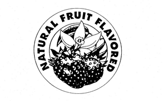 NATURAL FRUIT FLAVORED logo