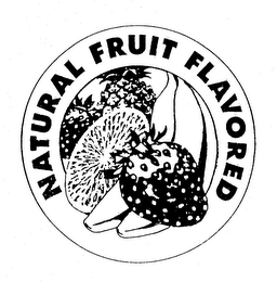NATURAL FRUIT FLAVORED logo