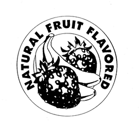 NATURAL FRUIT FLAVORED logo