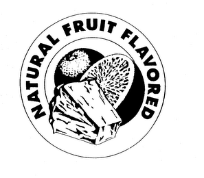 NATURAL FRUIT FLAVORED logo