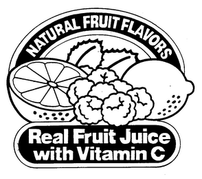 NATURAL FRUIT FLAVORS REAL FRUIT JUICE WITH VITAMIN C logo