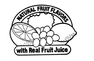 NATURAL FRUIT FLAVORS WITH REAL FRUIT JUICE logo