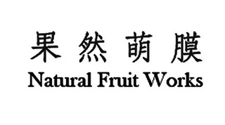NATURAL FRUIT WORKS logo